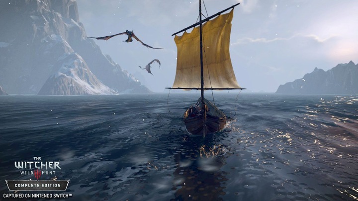 Produktbild Bandai Namco The Witcher 3 : Wild Hunt (Switch, DE)
