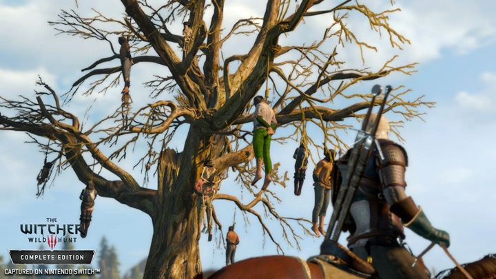 Produktbild Bandai Namco The Witcher 3 : Wild Hunt (Switch, DE)