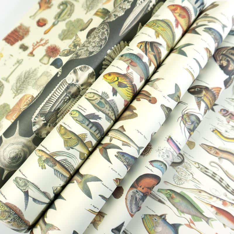 Thumbnail - The Pepin Press, Geschenkverpackung, Marine (Geschenkpapier, 12 x)