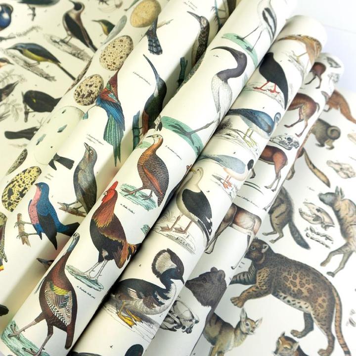 Produktbild Fauna (12x)