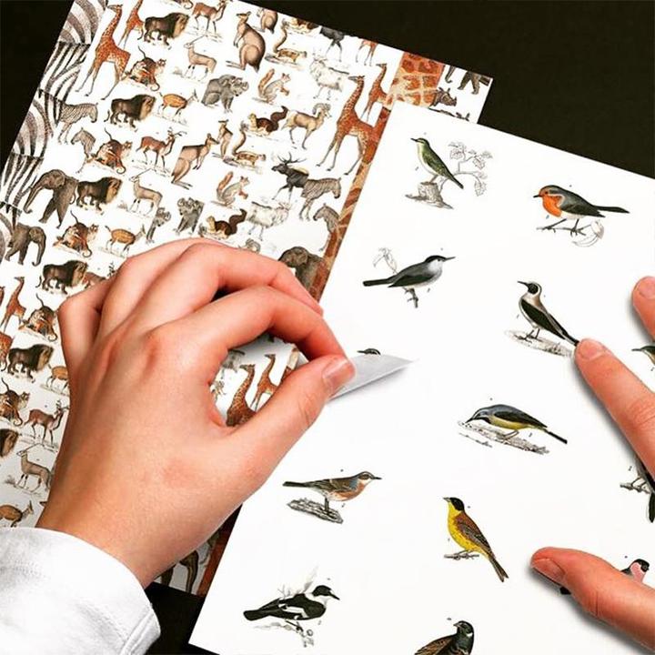 Produktbild Book Fauna