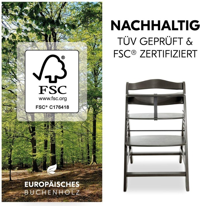 Actual product image Hauck Highchairs Highchair Alpha Plus Select Charcoal - in economy set (High chair booster seat)