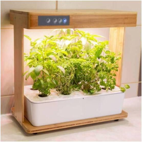 Bioponis Gemüsegarten