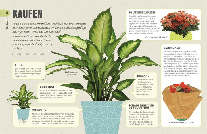 Produktbild So überleben Zimmerpflanzen garantiert (Deutsch, Veronica Peerless, 2018)