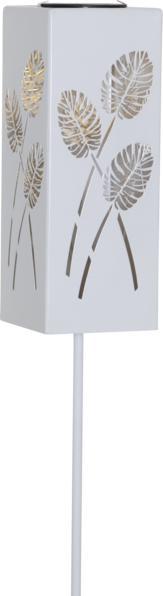 Image du produit Star Trading Décoration intérieure Windo