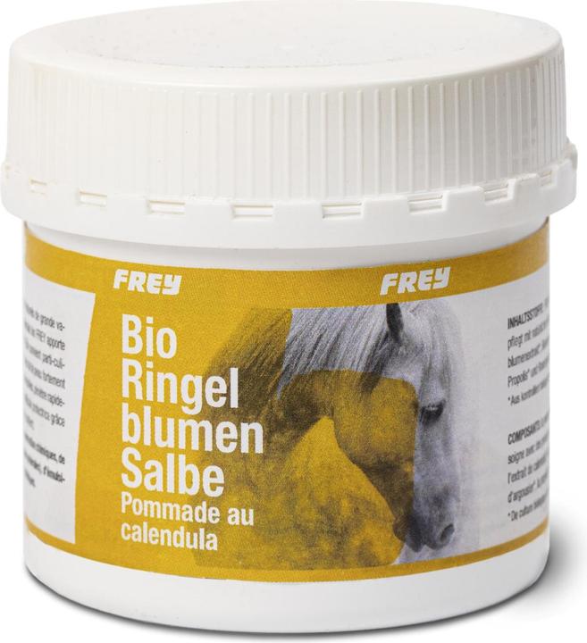 Produktbild Frey Bio Rinlumensalbe (Körpercreme, 250 ml)