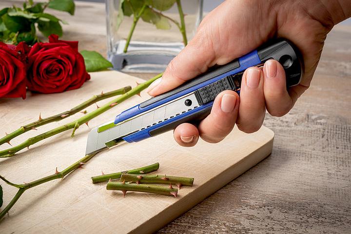Actual product image Dahle Cutter Pro 18mm (Cutters)
