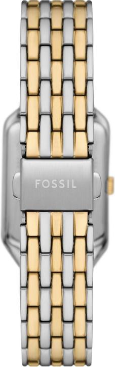 Produktbild Fossil Raquel (23 mm)