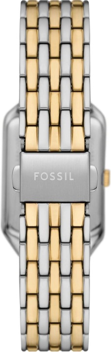 Image du produit Fossil Raquel (23 mm)