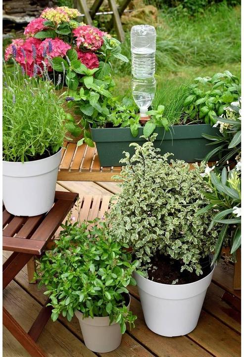 Immagine prodotto Hozelock 100-101-074 Bewässerungskegel (Kit di irrigazione)