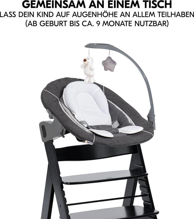Produktbild Hauck Hochstühle Alpha Plus Black 4-tlg. Newborn Set Deluxe (Hochstuhl)