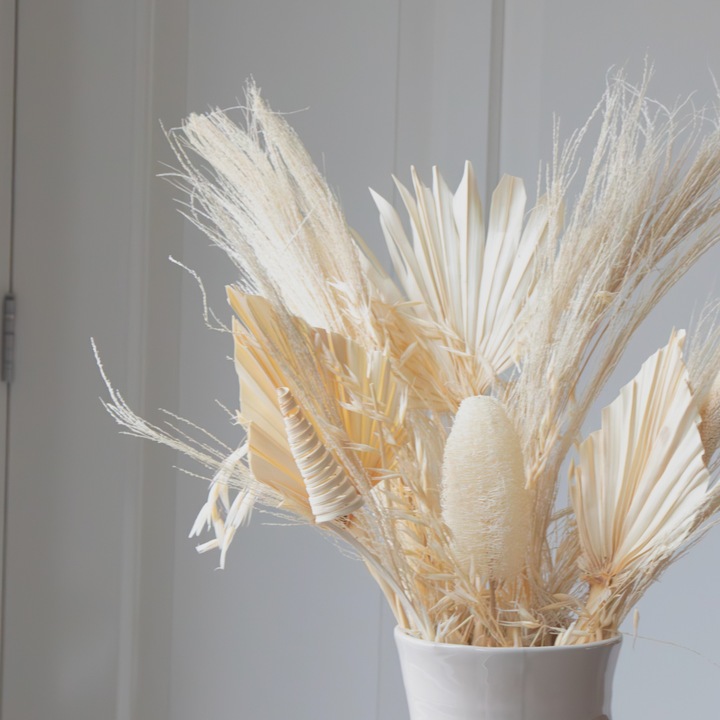 Produktbild Plant in a Box Luffa, Palm Spear, Broom grass, Palm Sun, Oat grass, Cane Cone, Babla - (60 cm)