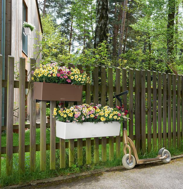 Produktbild Lechuza Balconera Color 80 (79 cm)