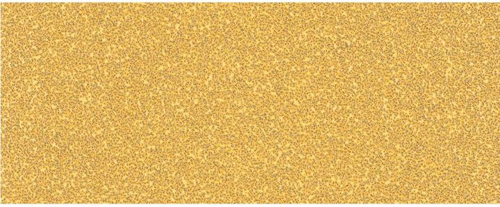 Actual product image Bosch Professional Zubehör Expert C470 Sandpaper without holes for orbital sander, 93 x 230 mm, G 40, 10 pcs. (40)