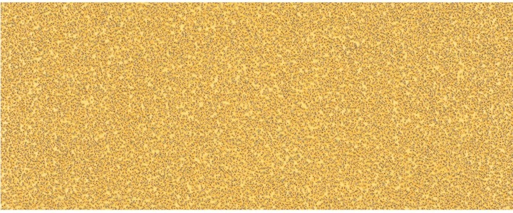 Productafbeelding Bosch Professional Zubehör Expert C470 Schuurpapier zonder gaten voor vlakschuurmachine, 93 x 230 mm, G 40, 10 st. (40)
