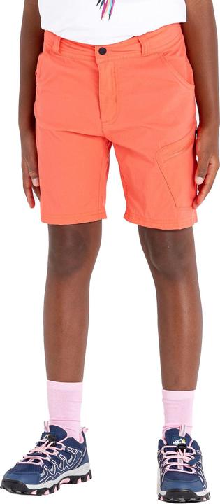 Actual product image Dare2b Reprise II Shorts (128)
