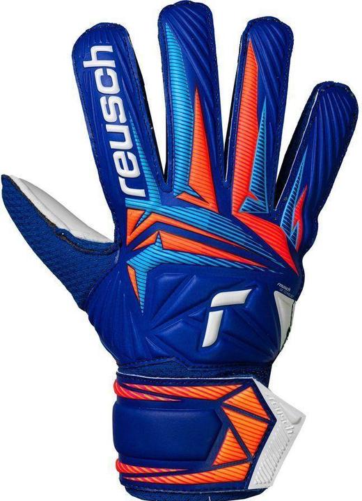 sharpblu, shock orng, wht