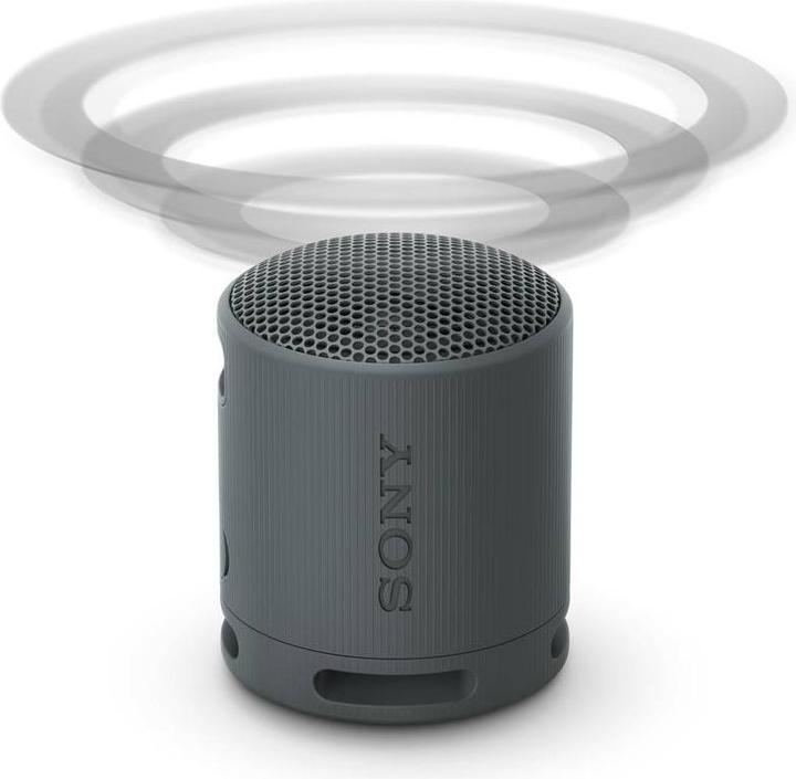Productafbeelding Sony SRS-XB100 (16 h, Oplaadbare batterij)