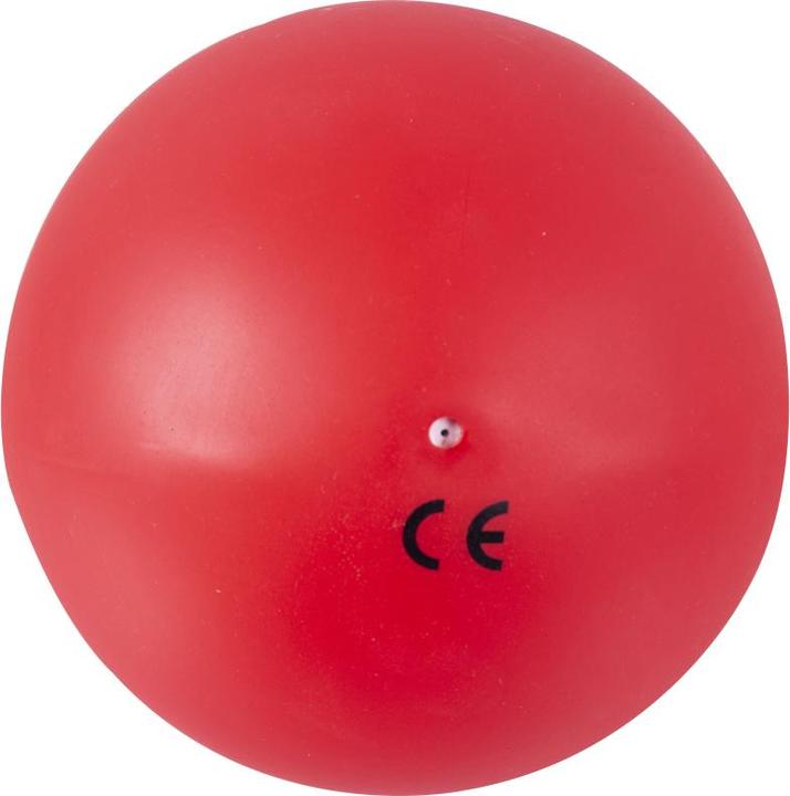 Image du produit Tanga Sports ® Gymnastikball Training