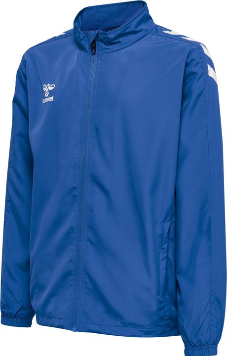 Trueblue