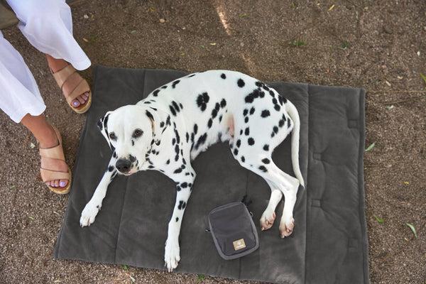 Immagine prodotto Palopa Tappeto per cani (Cane)