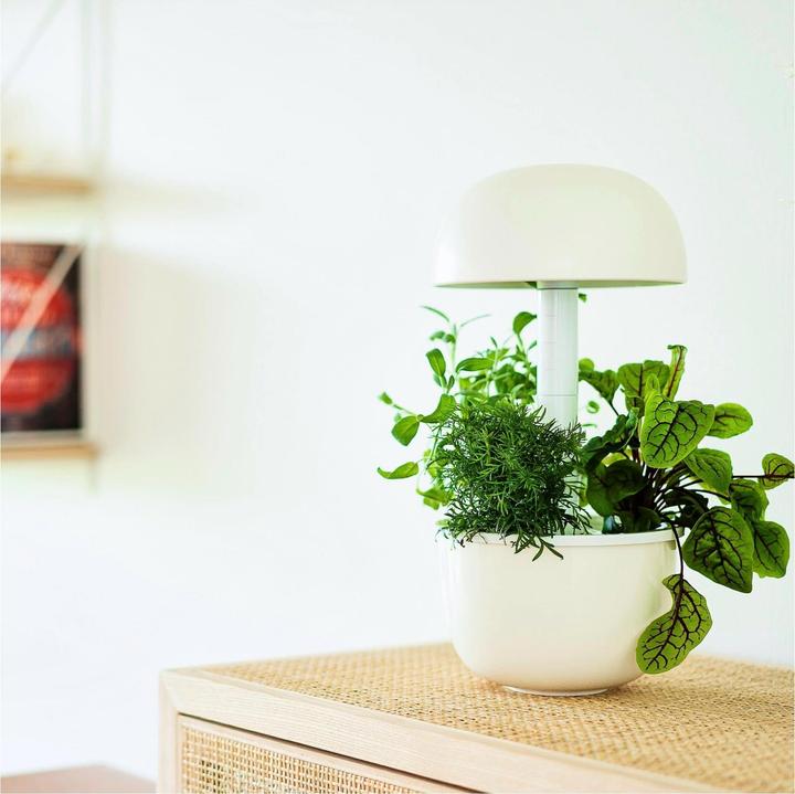 Produktbild Plantui Smart Garden 3e (Keimlinge)