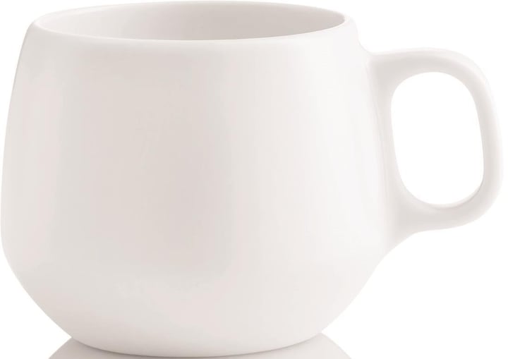 Enso (180 ml, 1 x)