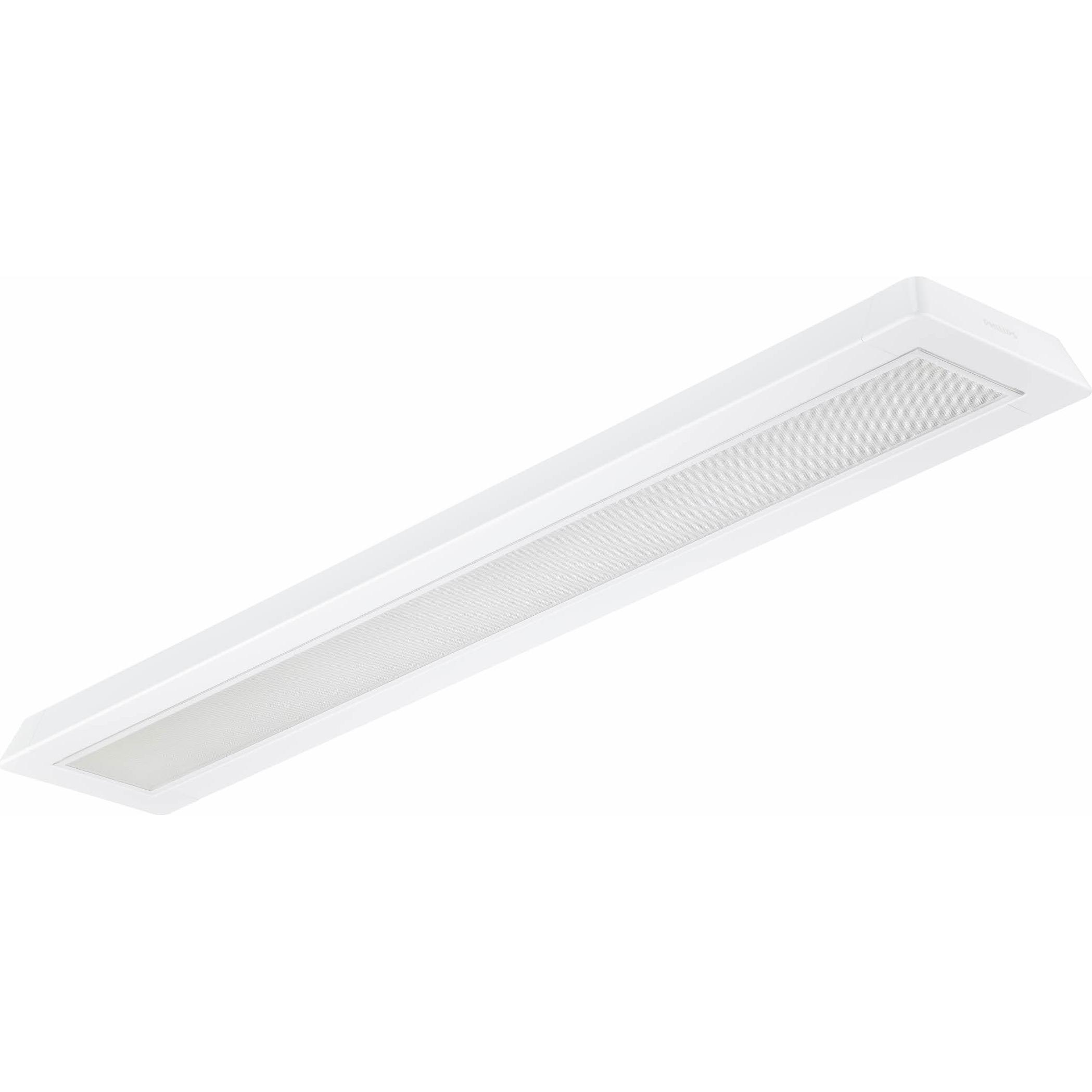 Philips, Wandleuchte + Deckenleuchte, 10395500 (3600 lm)