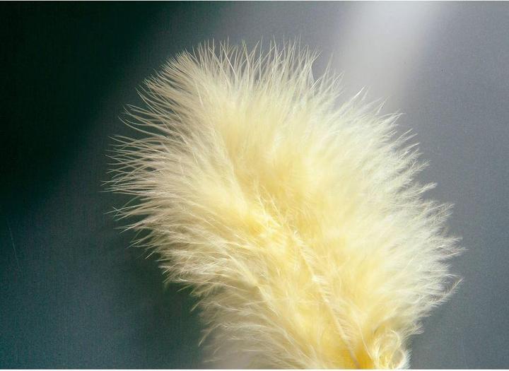 Actual product image Glorex Marabou feathers yellow
