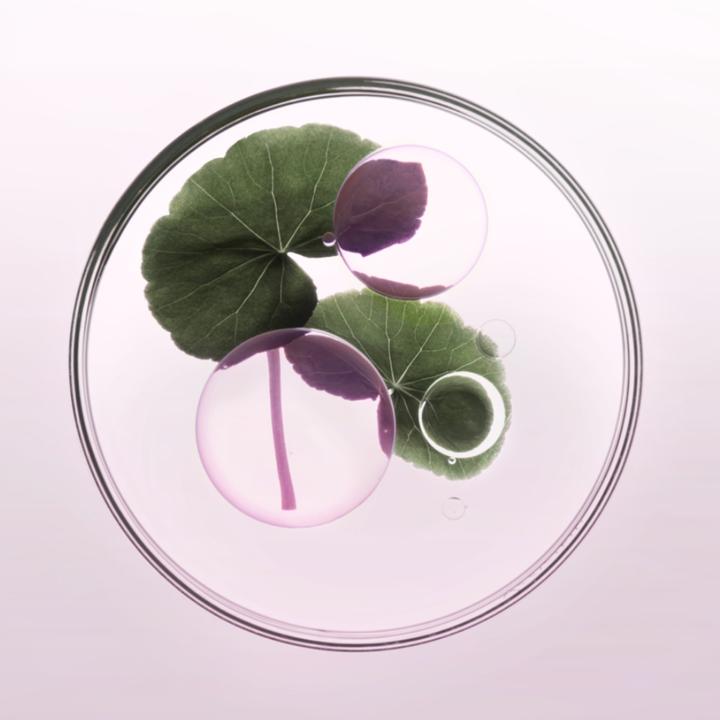 Actual product image Kérastase Bain Riche Chroma Respect (500ml) (Liquid shampoo, 500 ml)