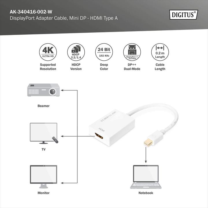 Produktbild Digitus ASSMANN DisplayPort Adapterkabel mini DP - HDMI Typ A St/Bu 0,2m HDMI Ver. 2.0 aktiv CE gold we (HDMI, 20 cm)