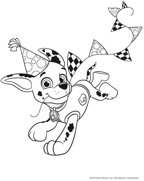 Actual product image Paw Patrol