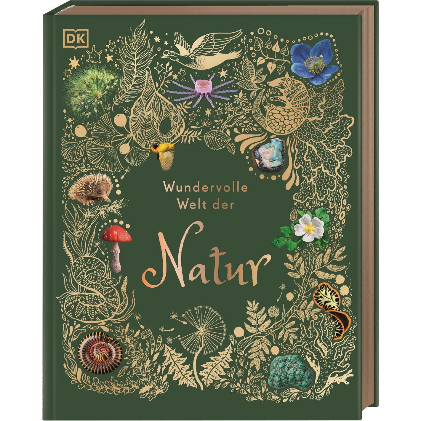 Wundervolle Welt der Natur, Libro per bambini di Ben Hoare