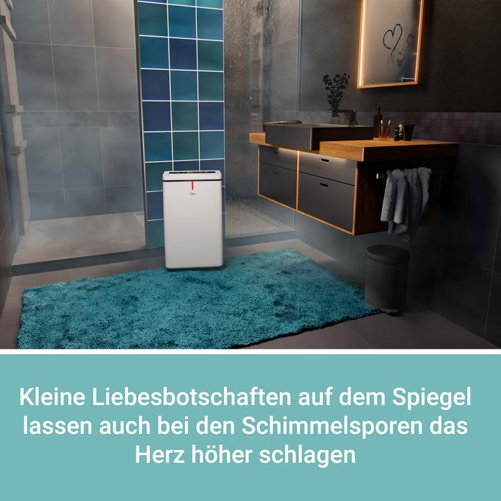 Actual product image Suntec DRYFIX 20 LUMIO (63 m², 20 l/24h)