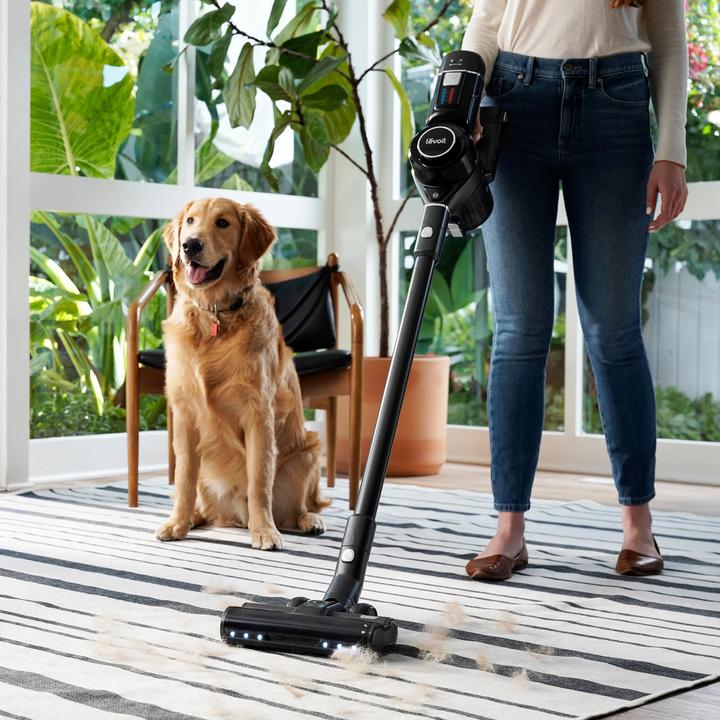 Produktbild Levoit Akku Staubsauger