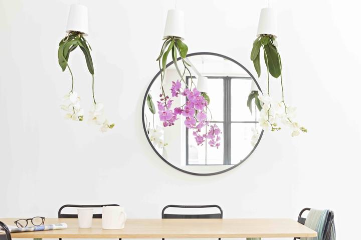 Actual product image boskke Sky Planter (9.50 cm)