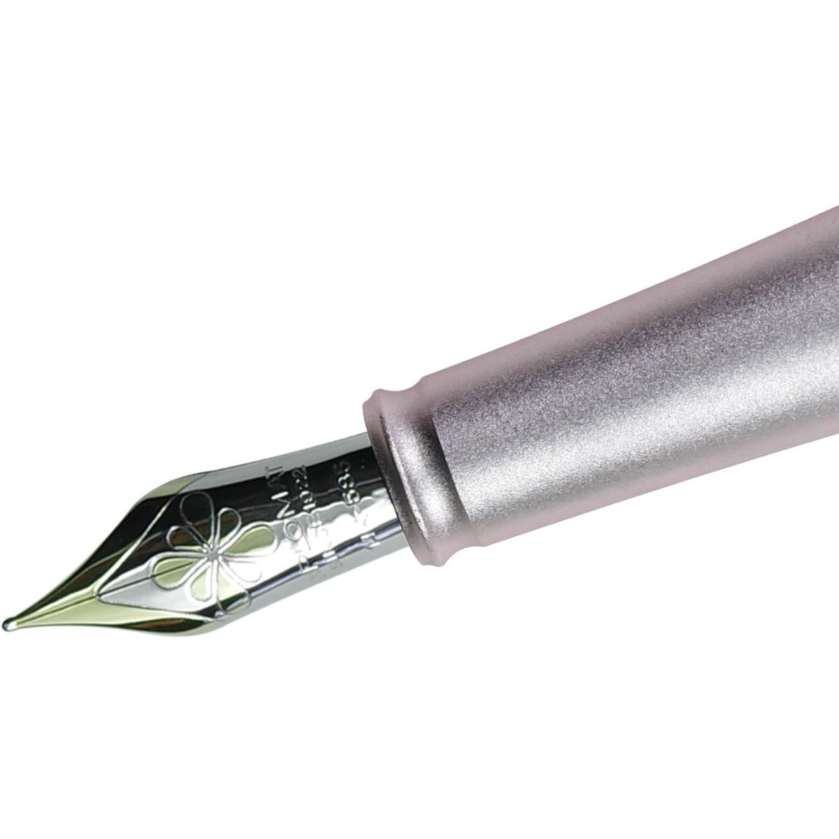 Diplomat, Schreibstifte, Federaggregat mit Goldfeder 14kt Aero Breite EF (Gold, 1 x)