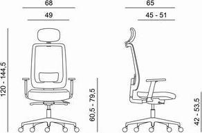 Actual product image Powerton ERGO LUCIE Ergonomic office chair, orangeColours (42 - 53.50 cm)