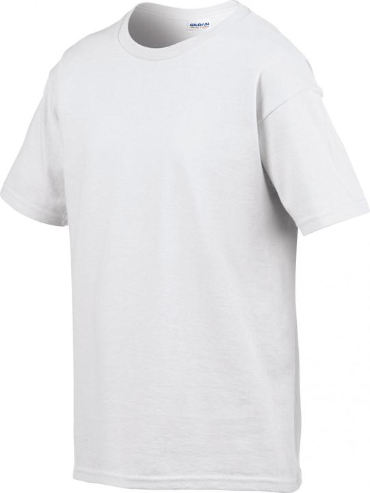 Actual product image Gildan Softstyle (12XL)