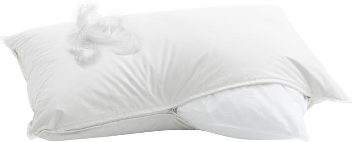 Immagine prodotto Billerbeck Casa Piuma (65 x 100 cm)