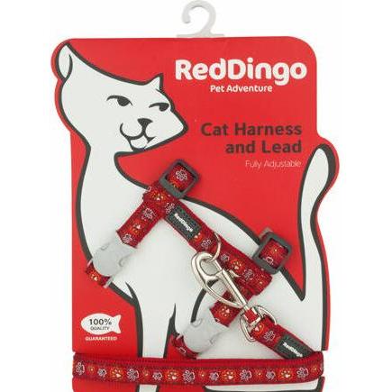 Red Dingo Harnais & Pour Chat Laisse Patte Rouge 20-35 Cm