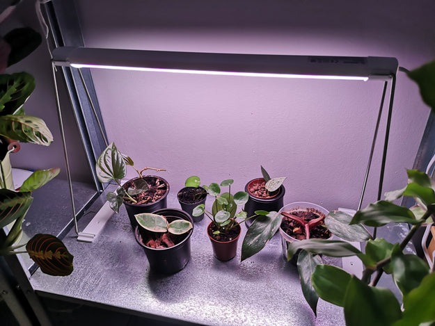 Actual product image Ledvance Indoor Linear Grow Light - Indoor Garden Light 30cm (LED, 240 V)