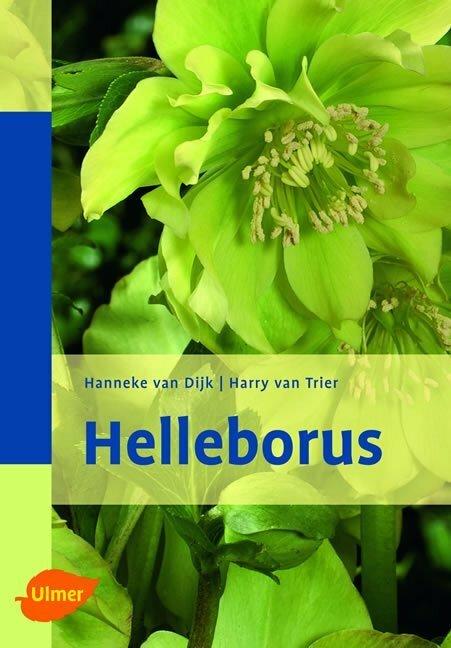 Produktbild Helleborus (Deutsch, Andrea Akkermann, Hanneke van Dijk, Harry van Trier, Hugo Maertens, 2006)