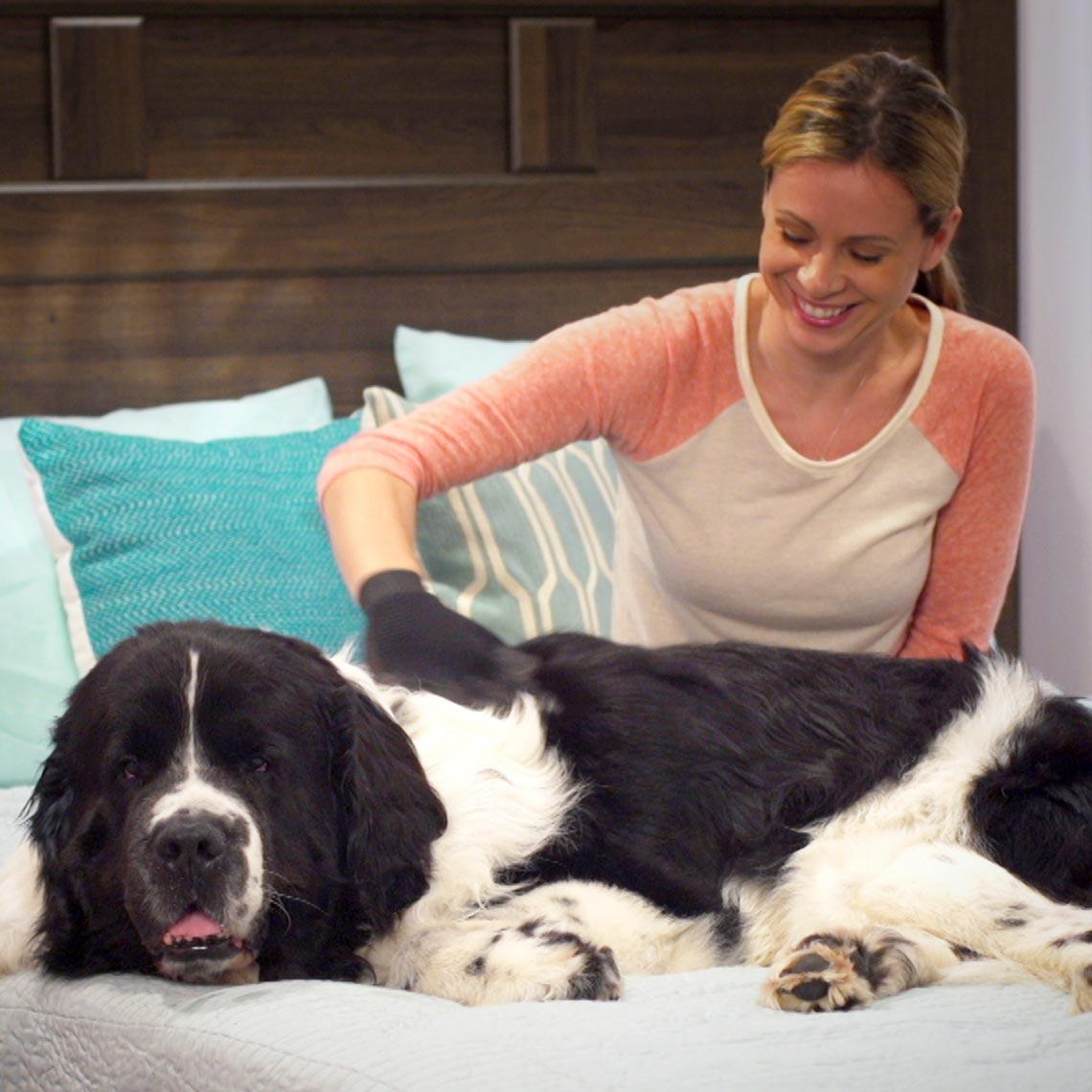 Thumbnail - MediaShop True Touch (Hund), Tierpflegemittel