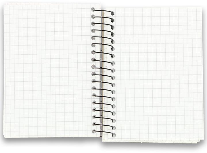 Immagine prodotto Landré Quaderno universitario A6 con rilegatura a spirale (A6, Quadretti, Copertina rigida)