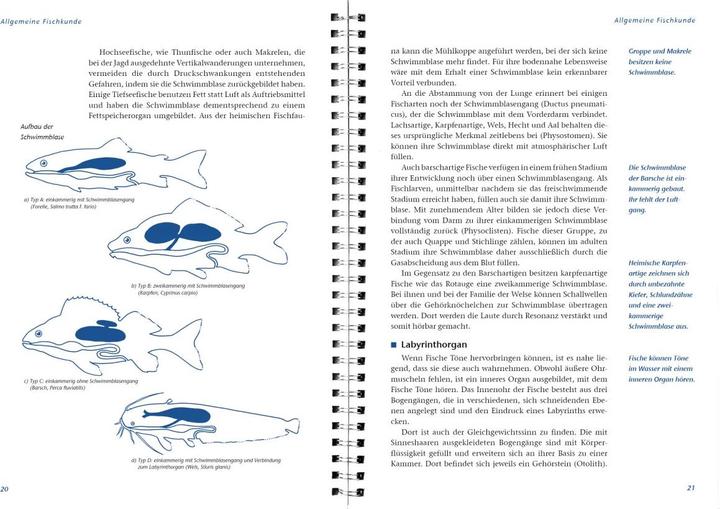 Produktbild Arbeitsbuch Fischerprüfung (Deutsch, Ernst Heddergott, LV-Buch, Manfred Hammer, Michael Möhlenkamp, 2015)