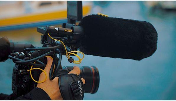 Image du produit Deity W01 Bonnette anti-vent de luxe pour S-Mic 2 et 3 (Mousse)