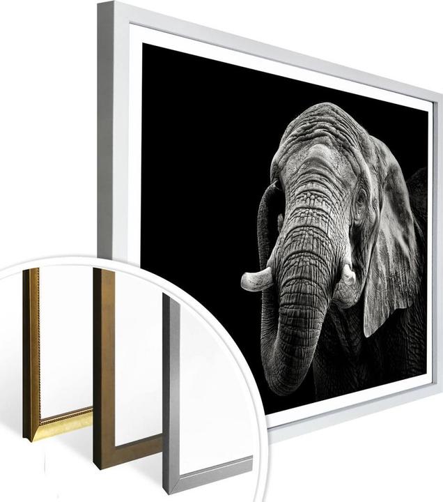 Image du produit Trenddeko L'éléphant (40 x 30 cm)