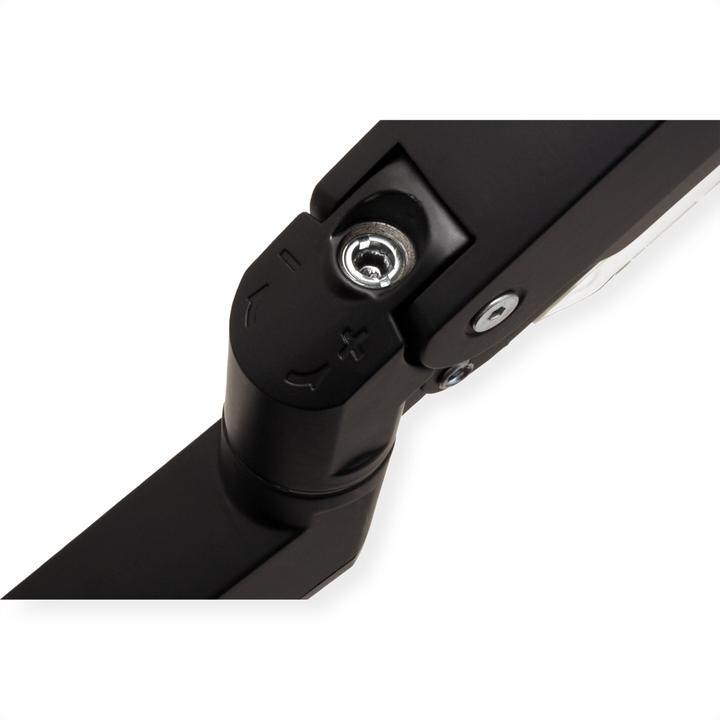 Actual product image Roline LCD dual arm (Table, 15 kg)