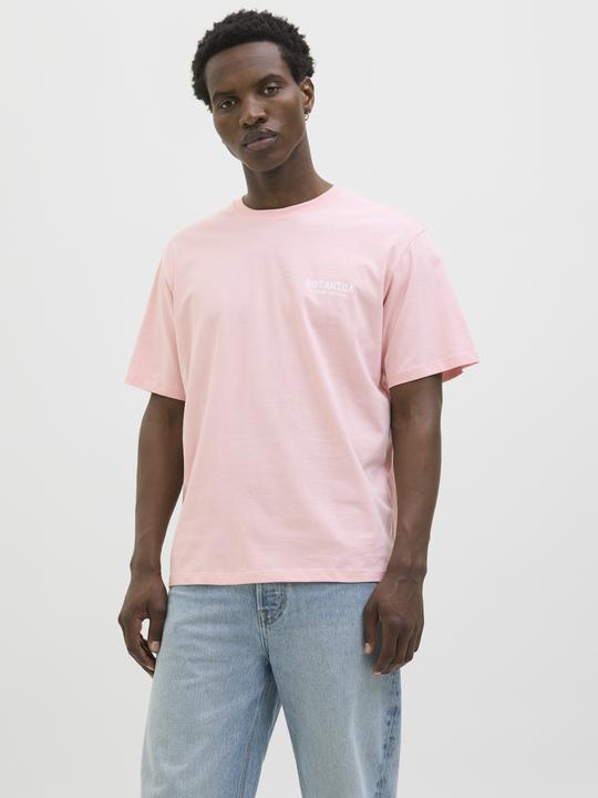 Produktbild Jack & Jones Jorbotaniq Tee Ss Crew Neck Tg Ln (XL)